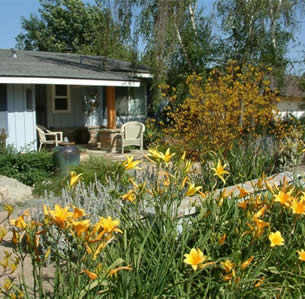 Gold Fire Garden